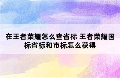 在王者荣耀怎么查省标 王者荣耀国标省标和市标怎么获得